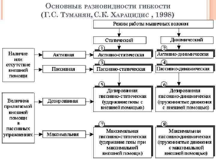 ОСНОВНЫЕ РАЗНОВИДНОСТИ ГИБКОСТИ (Г. С. ТУМАНЯН, С. К. ХАРАЦИДИС , 1998) 