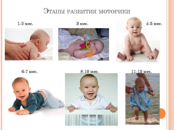 ЭТАПЫ РАЗВИТИЯ МОТОРИКИ 1 -2 мес. 6 -7 мес. 3 мес. 8 -10 мес.