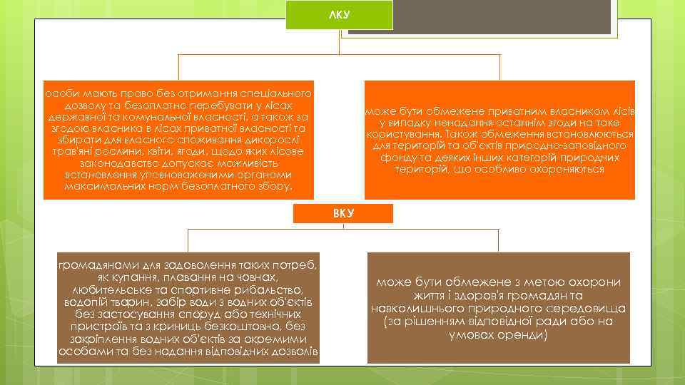 ЛКУ особи мають право без отримання спеціального дозволу та безоплатно перебувати у лісах державної