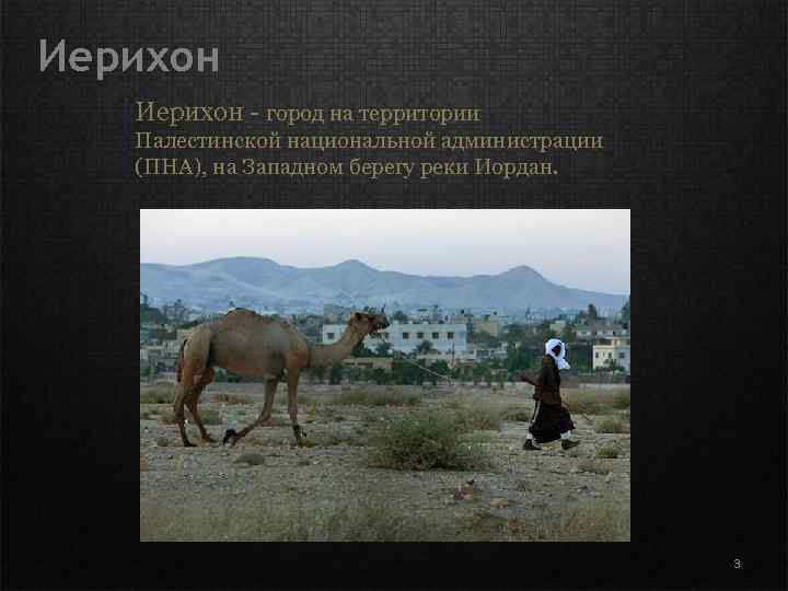 Иерихон - город на территории Палестинской национальной администрации (ПНА), на Западном берегу реки Иордан.