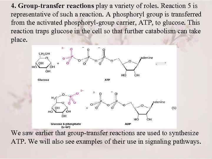 4. Group-transfer reactions play a variety of roles. Reaction 5 is representative of such
