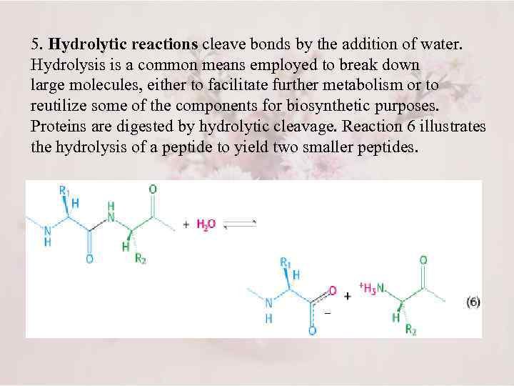 5. Hydrolytic reactions cleave bonds by the addition of water. Hydrolysis is a common
