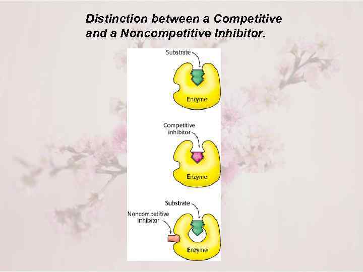 Distinction between a Competitive and a Noncompetitive Inhibitor. 