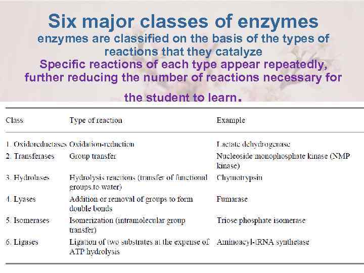 Six major classes of enzymes are classified on the basis of the types of