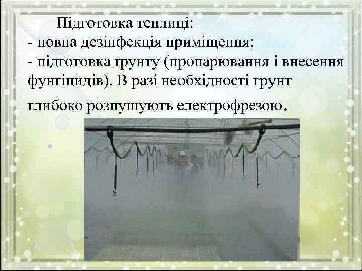 Підготовка теплиці: - повна дезінфекція приміщення; - підготовка ґрунту (пропарювання і внесення фунгіцидів). В