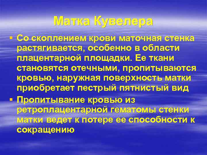 Матка Кувелера § Со скоплением крови маточная стенка растягивается, особенно в области плацентарной площадки.