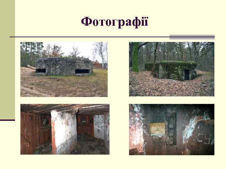 Фотографії 