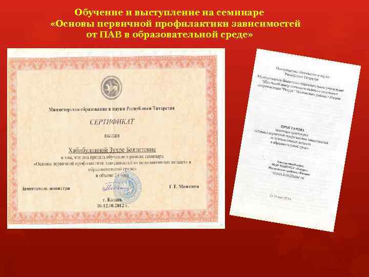  Обучение и выступление на семинаре «Основы первичной профилактики зависимостей от ПАВ в образовательной