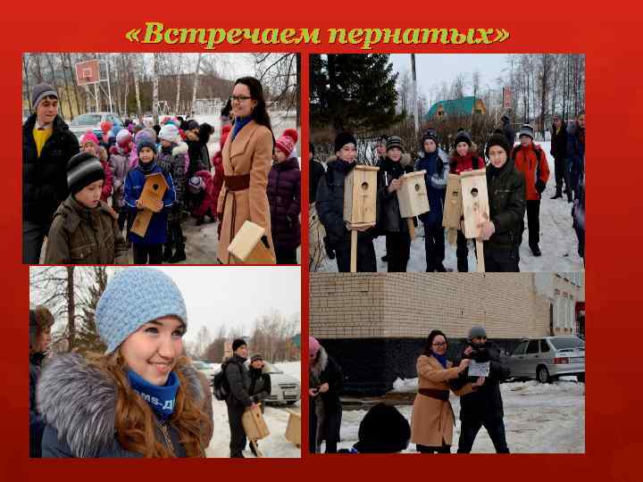  «Встречаем пернатых» 