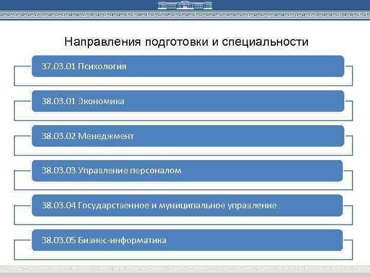 Направления институтов. Направление подготовки специальность. Направление в институте. Направление подготовки это. Направленность в вузе это.