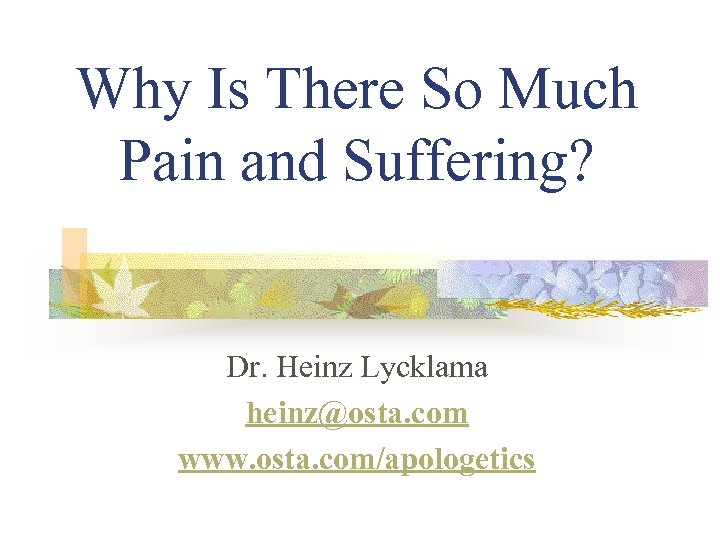 Why Is There So Much Pain and Suffering? Dr. Heinz Lycklama heinz@osta. com www.