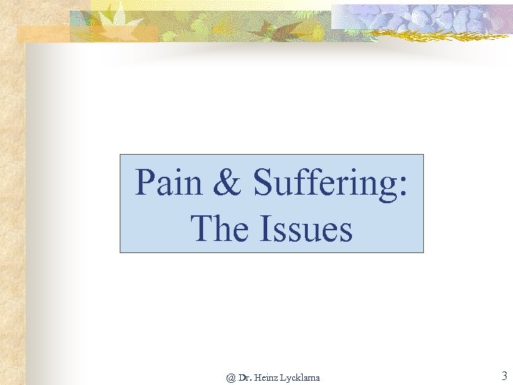 Pain & Suffering: The Issues @ Dr. Heinz Lycklama 3 