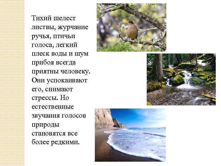 Тихий шелест листвы, журчание ручья, птичьи голоса, легкий плеск воды и шум прибоя всегда
