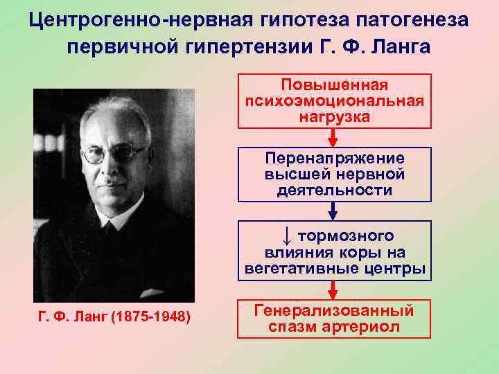 Центрогенно-нервная гипотеза патогенеза первичной гипертензии Г. Ф. Ланга Повышенная психоэмоциональная нагрузка Перенапряжение высшей нервной