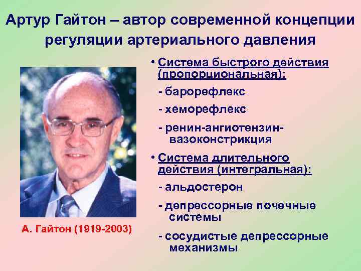 Артур Гайтон – автор современной концепции регуляции артериального давления • Система быстрого действия (пропорциональная):