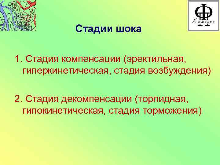 Стадии шока 1. Стадия компенсации (эректильная, гиперкинетическая, стадия возбуждения) 2. Стадия декомпенсации (торпидная, гипокинетическая,