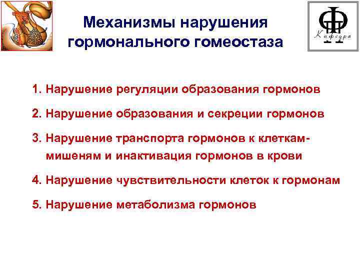 Механизмы нарушения гормонального гомеостаза 1. Нарушение регуляции образования гормонов 2. Нарушение образования и секреции