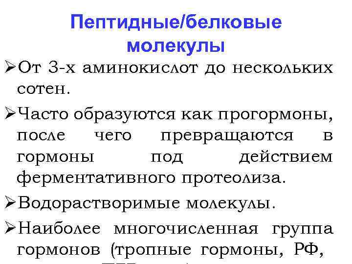 Пептидные/белковые молекулы ØОт 3 -х аминокислот до нескольких сотен. ØЧасто образуются как прогормоны, после