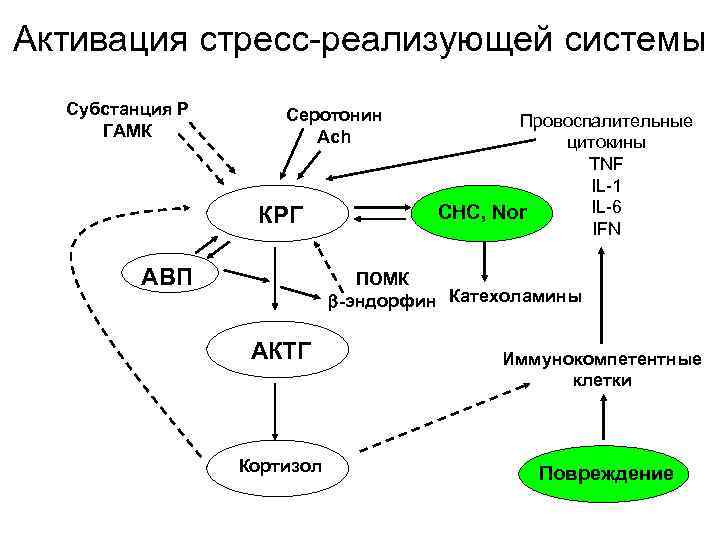 Схема стресс реализующей системы