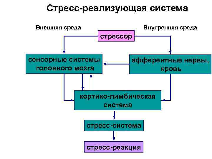 Схема стресс реализующей системы