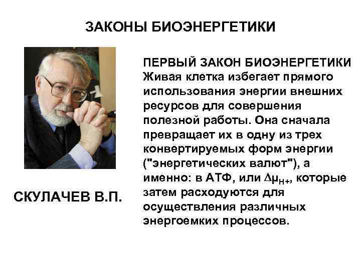 ЗАКОНЫ БИОЭНЕРГЕТИКИ СКУЛАЧЕВ В. П. ПЕРВЫЙ ЗАКОН БИОЭНЕРГЕТИКИ Живая клетка избегает прямого использования энергии