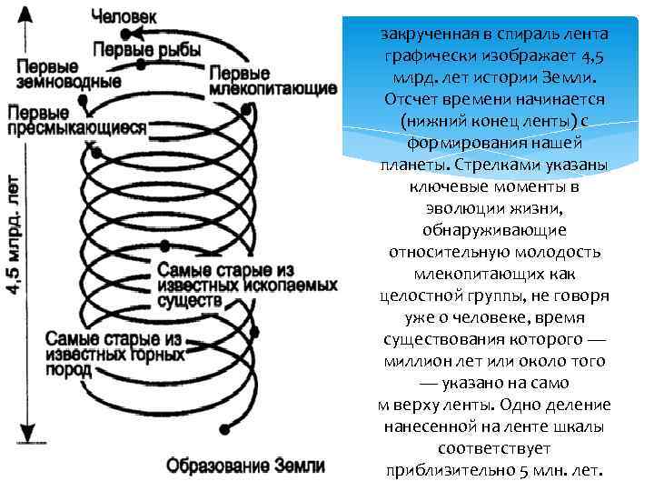 закрученная в спираль лента графически изображает 4, 5 млрд. лет истории Земли. Отсчет времени