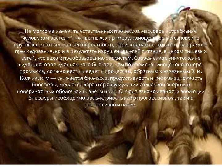 Не могло не изменить естественных процессов массовое истребление человеком растений и животных, к примеру,