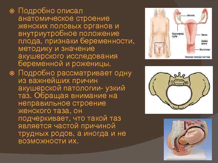 Подробно описал анатомическое строение женских половых органов и внутриутробное положение плода, признаки беременности, методику