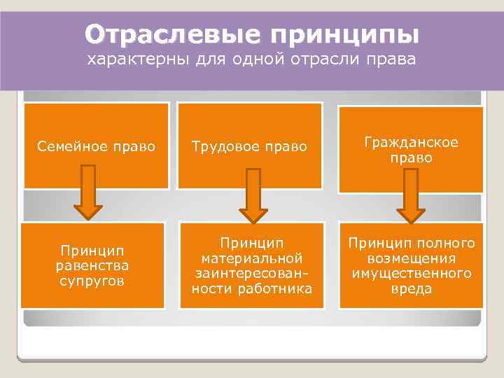 Принципы права схема