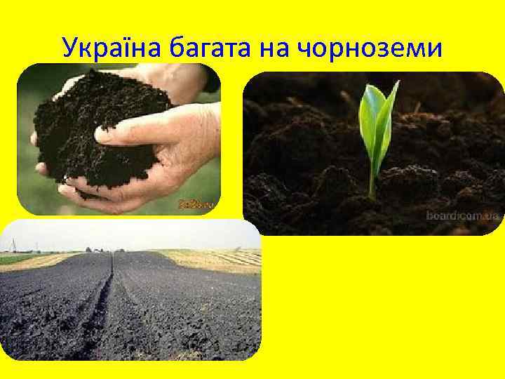 Україна багата на чорноземи 