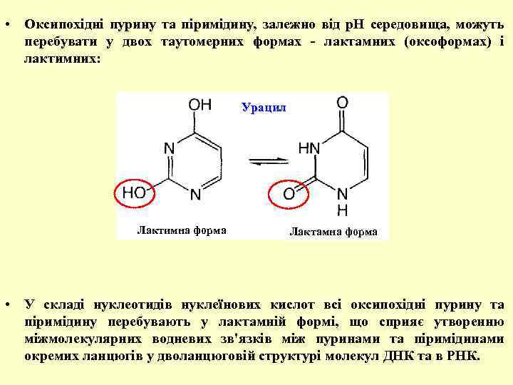  • Оксипохідні пурину та піримідину, залежно від р. Н середовища, можуть перебувати у