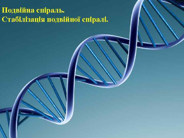 Подвійна спіраль. Стабілізація подвійної спіралі. 