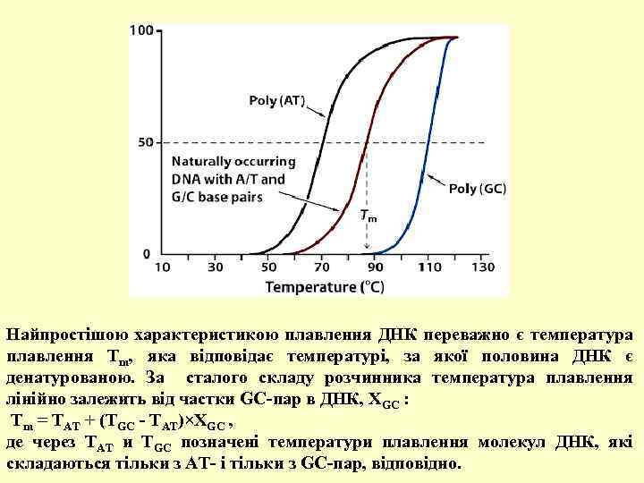 Найпростішою характеристикою плавлення ДНК переважно є температура плавлення Tm, яка відповідає температурі, за якої
