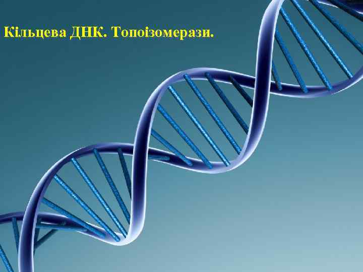 Кільцева ДНК. Топоізомерази. 