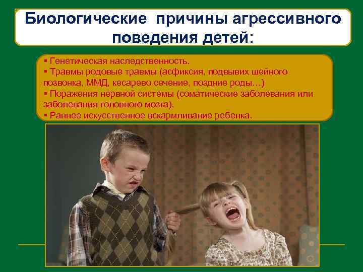 Биологические причины агрессивного поведения детей: § Генетическая наследственность. § Травмы родовые травмы (асфиксия, подвывих