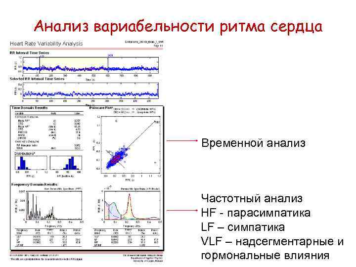 Инструментальные методы исследования сердечно сосудистой системы презентация