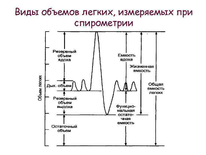 Виды объемов легких, измеряемых при спирометрии 