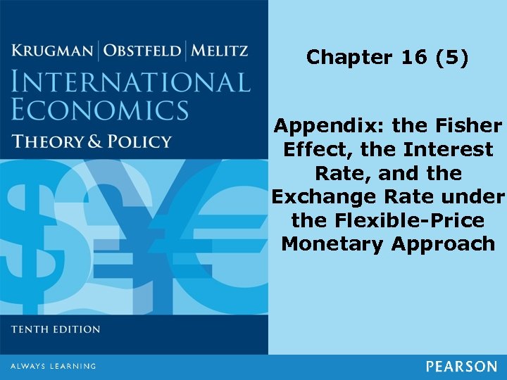 Chapter 16 (5) Appendix: the Fisher Effect, the Interest Rate, and the Exchange Rate