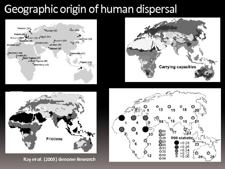 Geographic origin of human dispersal Ray et al. (2005) Genome Research 