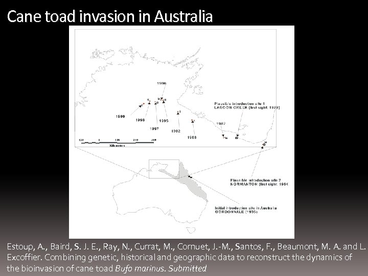 Cane toad invasion in Australia Estoup, A. , Baird, S. J. E. , Ray,