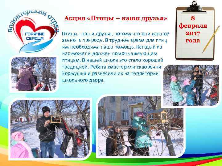 Акция «Птицы – наши друзья» Птицы - наши друзья, потому что они важное звено