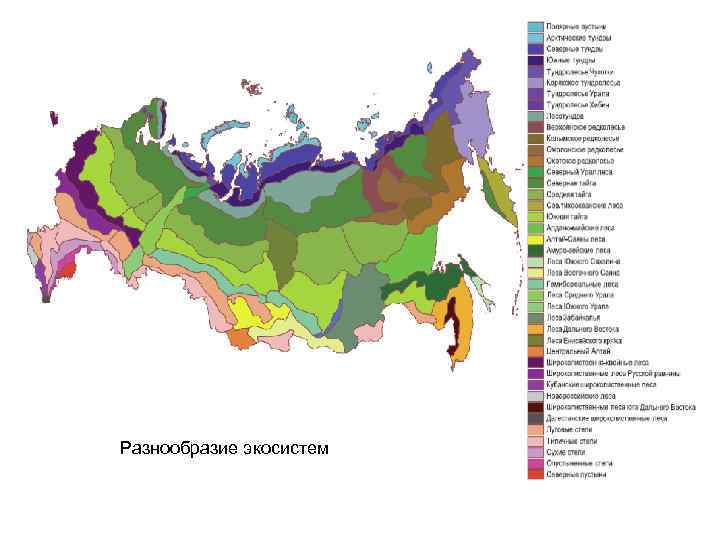 Разнообразие экосистем 