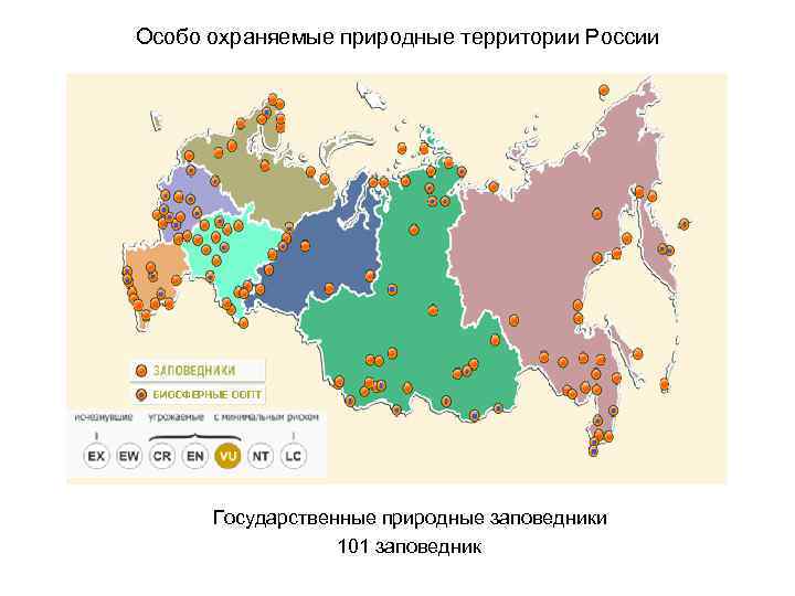 Особо охраняемые природные территории России Государственные природные заповедники 101 заповедник 