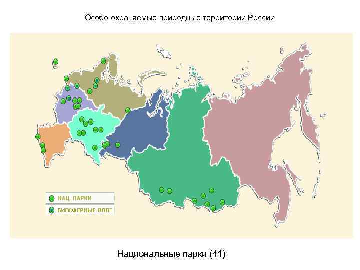 Особо охраняемые природные территории России Национальные парки (41) 