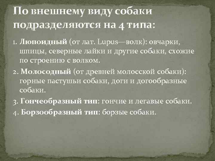 По внешнему виду собаки подразделяются на 4 типа: 1. Люпоидный (от лат. Lupus—волк): овчарки,