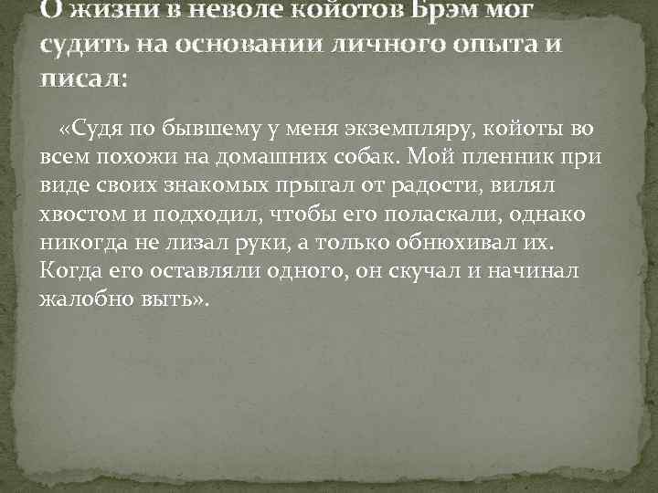 О жизни в неволе койотов Брэм мог судить на основании личного опыта и писал: