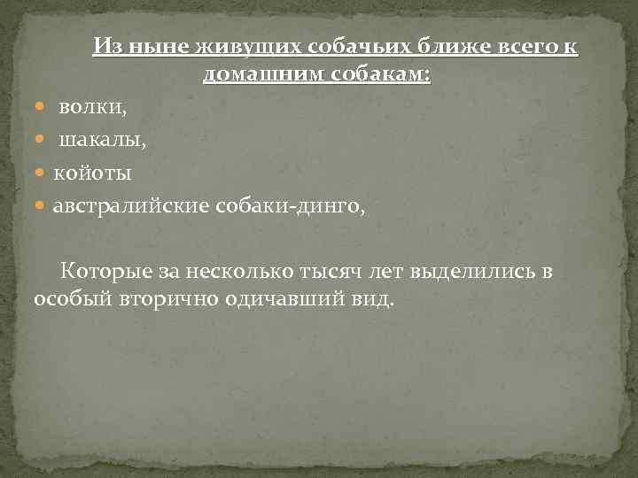  Из ныне живущих собачьих ближе всего к домашним собакам: волки, шакалы, койоты австралийские