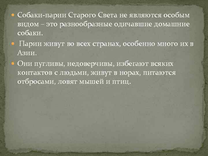  Собаки-парии Старого Света не являются особым видом – это разнообразные одичавшие домашние собаки.