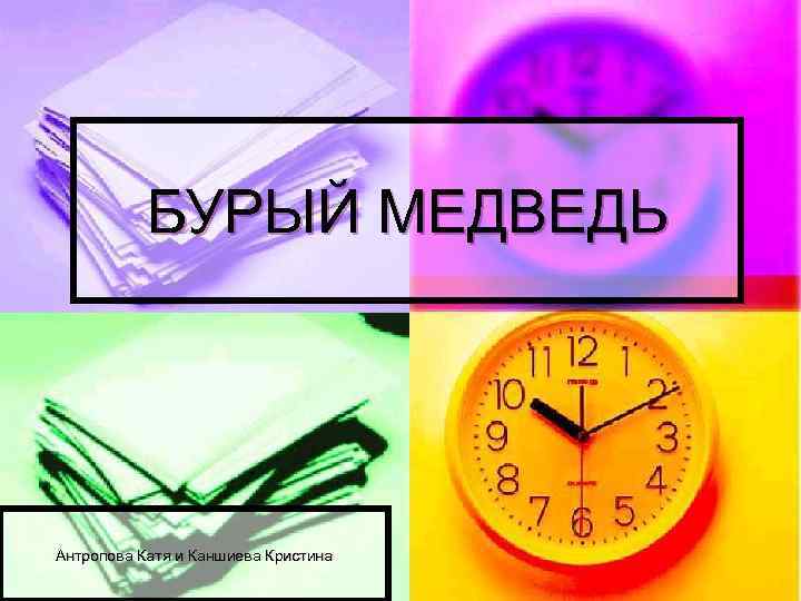 БУРЫЙ МЕДВЕДЬ Антропова Катя и Каншиева Кристина 
