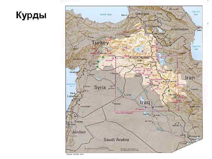 Курды 